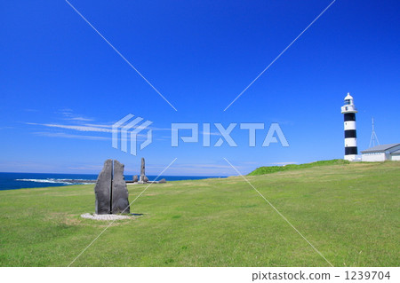 歐加半島·Taruzaki 1239704