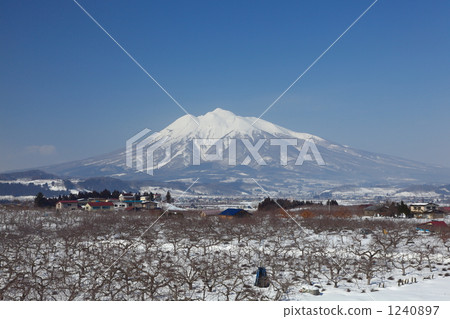 Winter apple field and Iwakiyama 1240897