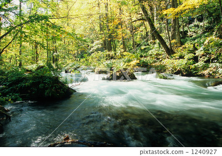 Early autumn stream 1240927