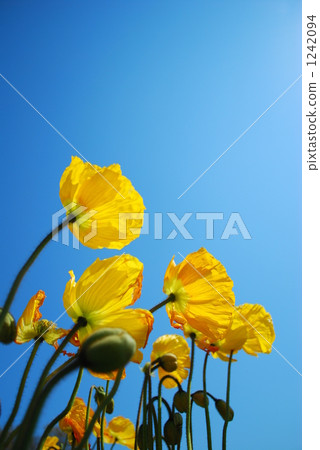 On sunny eyes On sunny eyes 1242094