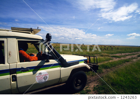 Safari Drive 1243263