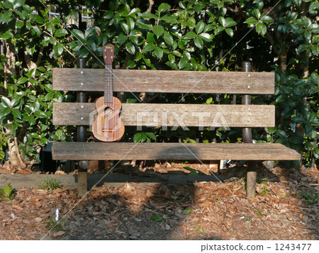 Winter ukulele on bench 1243477
