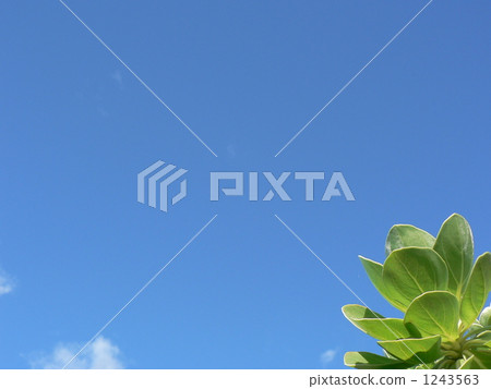 藍天和Xsatobera 藍天和Xsatobera 1243563