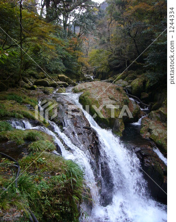 headwater, the source of a river, rocky stretch 1244334