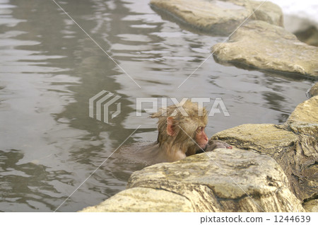 自己沐浴的嬰孩的檔案 自己沐浴的嬰孩的檔案 1244639