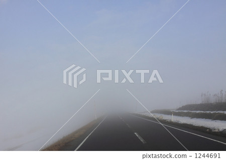 road, fog, foggy 1244691