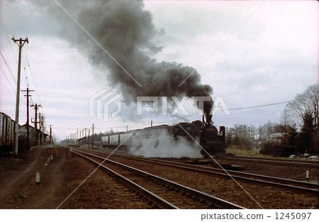 昭和50最後的旅客列車Murohonmachi線 1245097