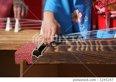 Koto Concert 1245247