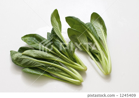 small pine greens, japanese mustard spinach, winter leaf 1245409
