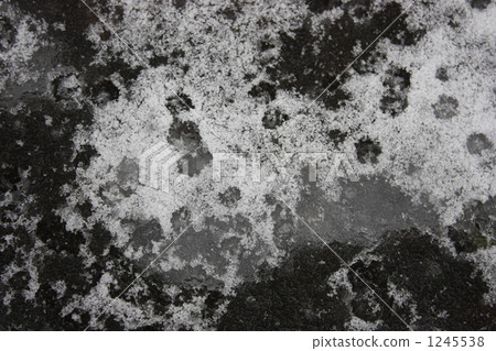 snow          1245538