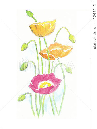 我父親的照片 我父親的照片 1245945