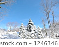 frost covered tree, frost-covered tree, snow scene 1246346