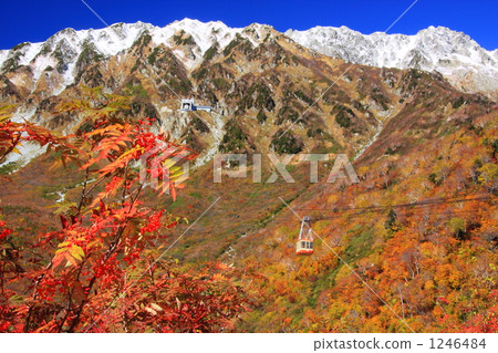 Tateyama mountain of autumn leaves and snow seen from Kurobabira 1246484