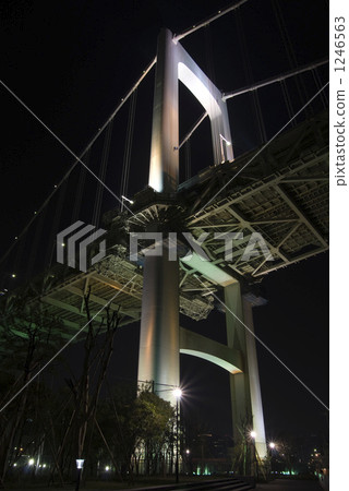 彩虹橋碼頭(夜景) 彩虹橋碼頭(夜景) 1246563