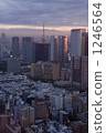 Tokyo at dusk 1246564