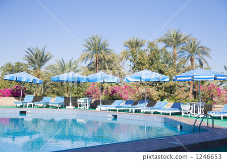poolside, pool, pools 1246653