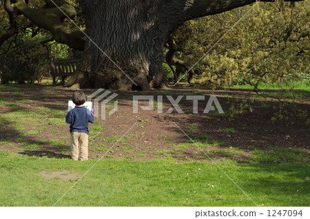 back view, one person, child 1247094