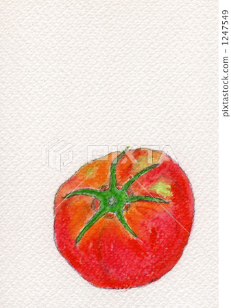 tomato, tomatoe, vegetables 1247549