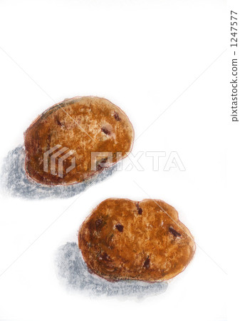 馬鈴薯 土豆 1247577