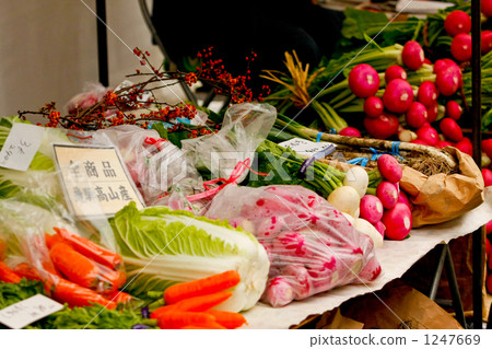 napa cabbage, carrots, carrot 1247669