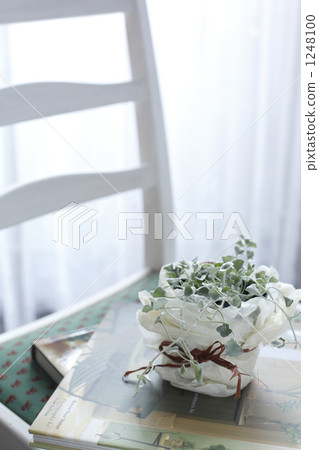 西方書籍 室內盆栽 觀葉植物 1248100