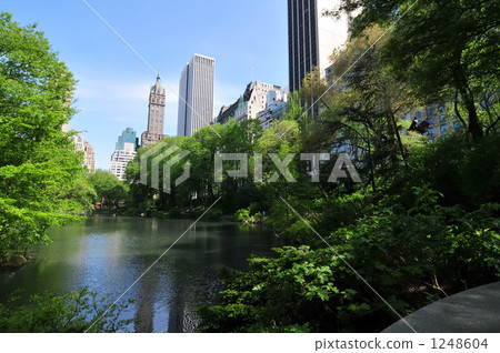 Healing park 1248604