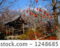 The world of old tales 1248685