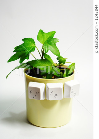 成長 上網 互聯網 1248844