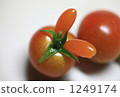 Usagi type tomato 1249174