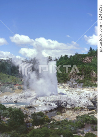 Whakarewarewa geyser Whakarewarewa geyser 1249255