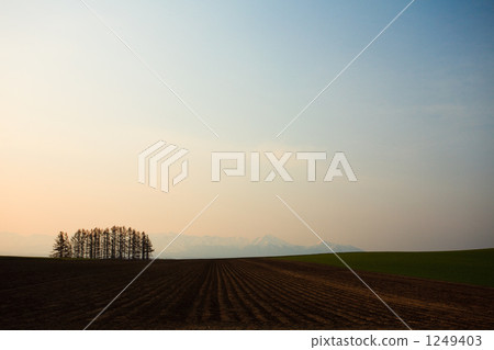 hill, sunrise, potato field 1249403