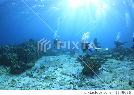 A diving image of a tropical country 1249626