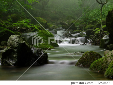 Mountain stream Mountain stream 1250658