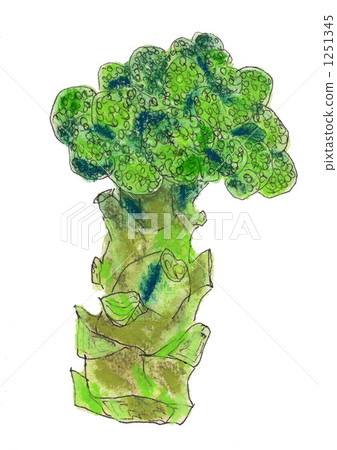 蔬菜 西蘭花 花椰菜 1251345