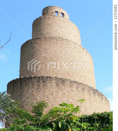 沖繩海洋博覽公園的熱帶夢想中心 沖繩海洋博覽公園的熱帶夢想中心 1253081