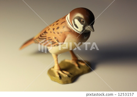 麻雀 小鳥 一隻小動物 1253157