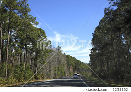 Straight road 1253162