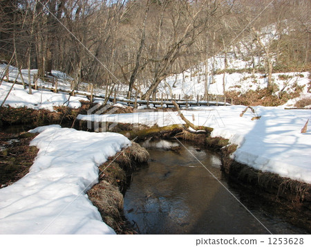 Sleeping in the early spring of the Polo Wetland Sleeping in the early spring of the Polo Wetland 1253628