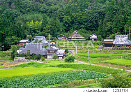 Landscape of Satoyama Landscape of Satoyama 1253784