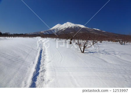 One road of snow One road of snow 1253997