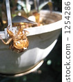 蟬殼 1254286