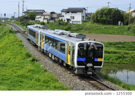 Koumi Line Hybrid Diesel Koumi Line Hybrid Diesel 1255300