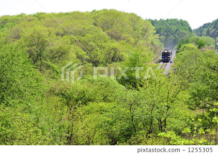Koumi Line Hybrid Diesel 1255305