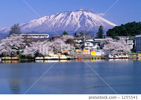 春天高松池塘和岩手 1255541