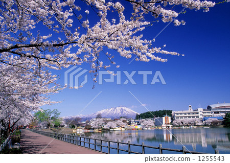 春天高松池塘和岩手 春天高松池塘和岩手 1255543