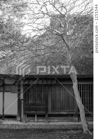 有一天，我看到了一所房子 1255544