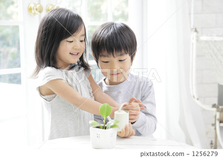 older brother, siblings, younger sister 1256279