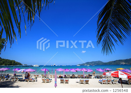 Patong / beach 1256548