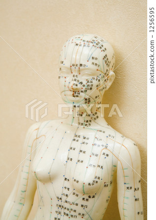 Key Point Human Body 1256595