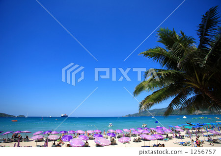 Patong / beach 1256757